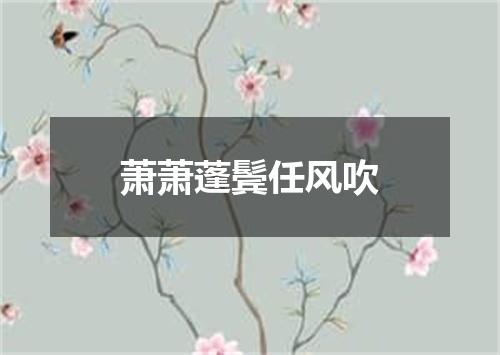 萧萧蓬鬓任风吹