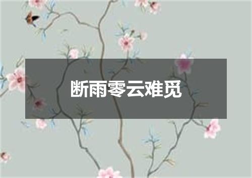 断雨零云难觅