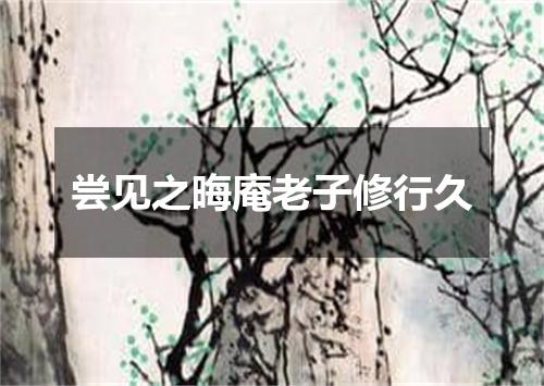 尝见之晦庵老子修行久