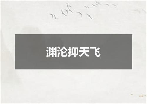 渊沦抑天飞