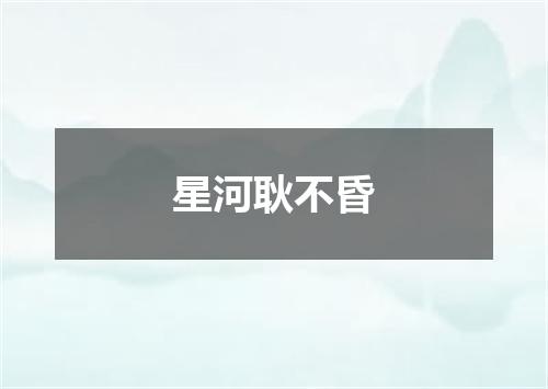 星河耿不昏