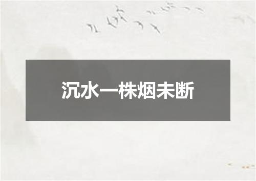 沉水一株烟未断