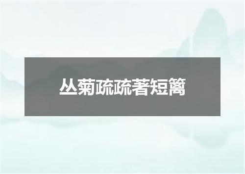 丛菊疏疏著短篱