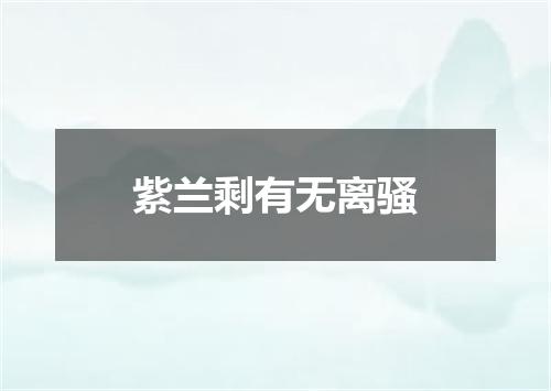 紫兰剩有无离骚