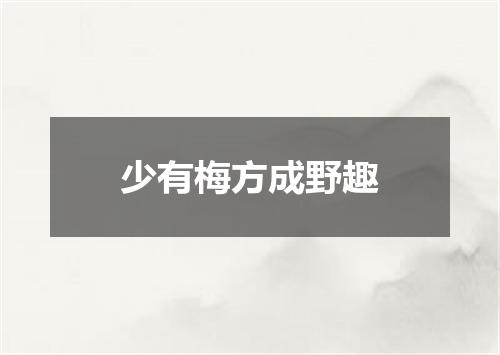 少有梅方成野趣