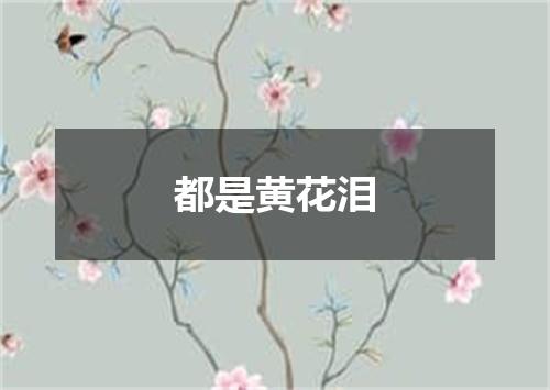 都是黄花泪