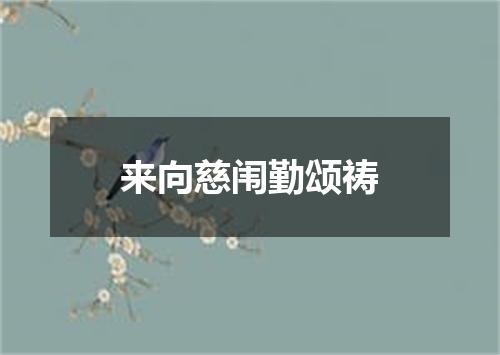 来向慈闱勤颂祷