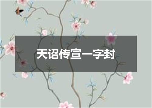 天诏传宣一字封