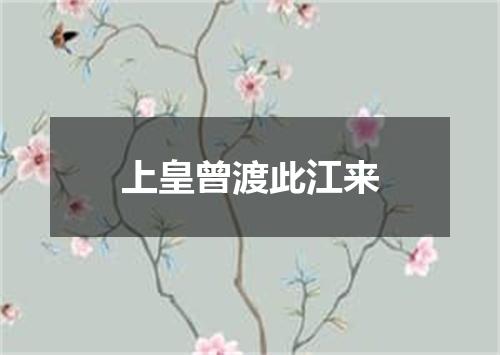 上皇曾渡此江来