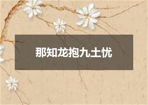 那知龙抱九土忧