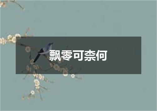 飘零可柰何