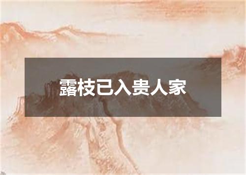 露枝已入贵人家