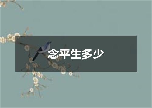 念平生多少