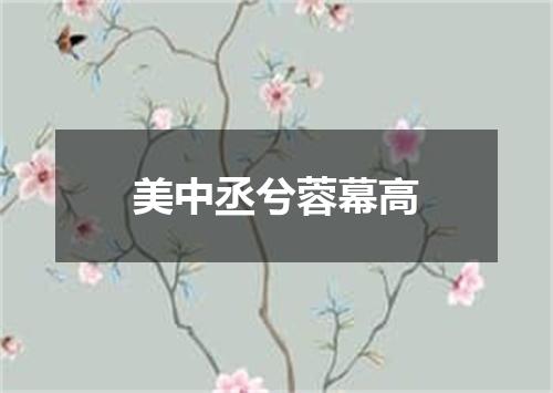 美中丞兮蓉幕高
