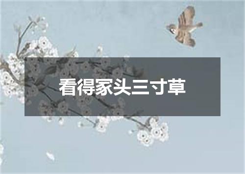 看得冢头三寸草