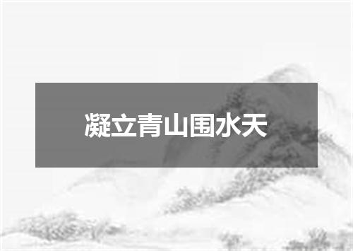 凝立青山围水天