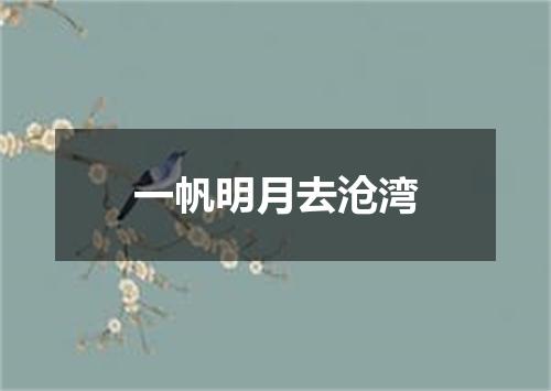 一帆明月去沧湾