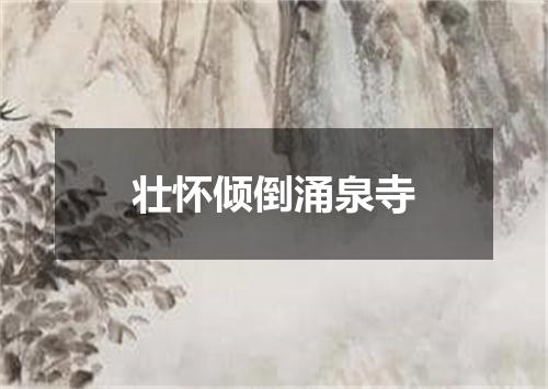 壮怀倾倒涌泉寺