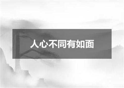 人心不同有如面