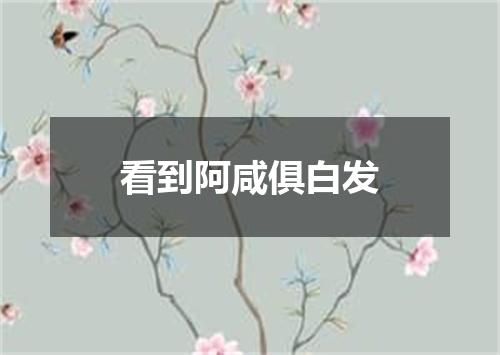 看到阿咸俱白发