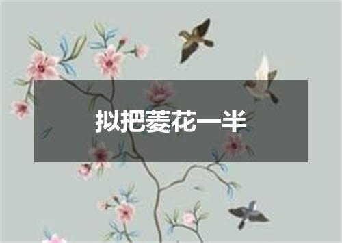 拟把菱花一半