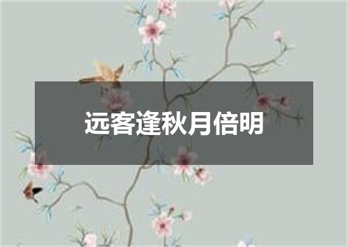 远客逢秋月倍明
