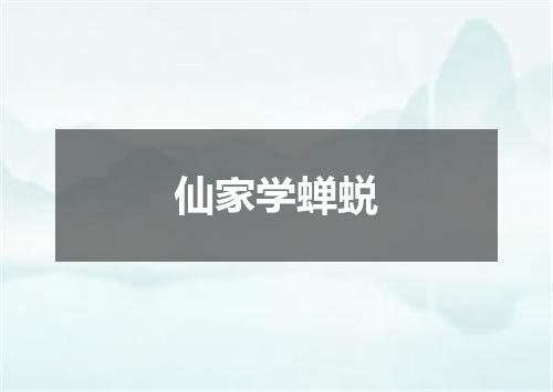 仙家学蝉蜕