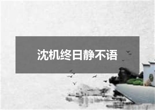 沈机终日静不语