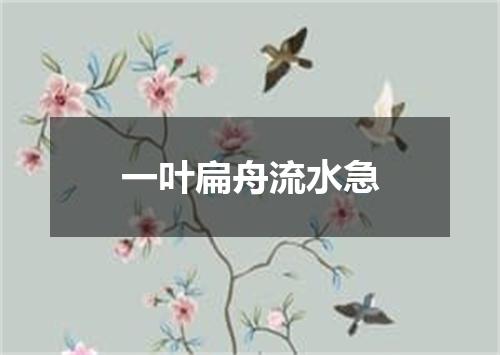 一叶扁舟流水急