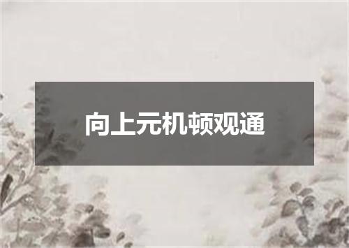 向上元机顿观通