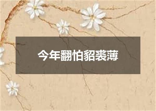 今年翻怕貂裘薄