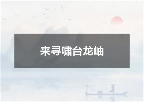 来寻啸台龙岫
