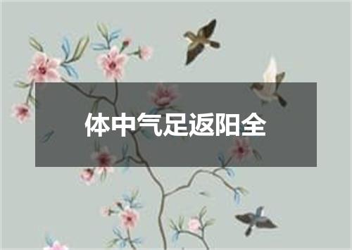 体中气足返阳全