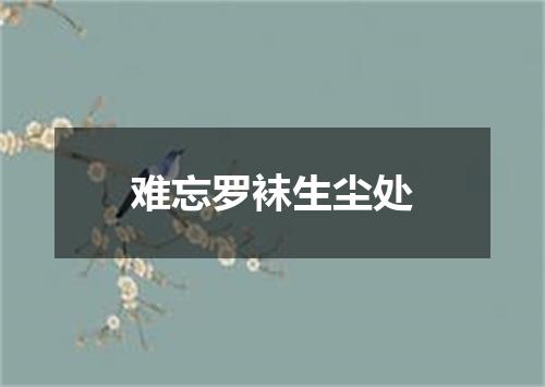 难忘罗袜生尘处