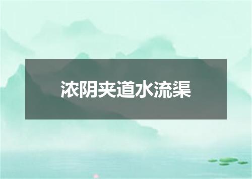 浓阴夹道水流渠