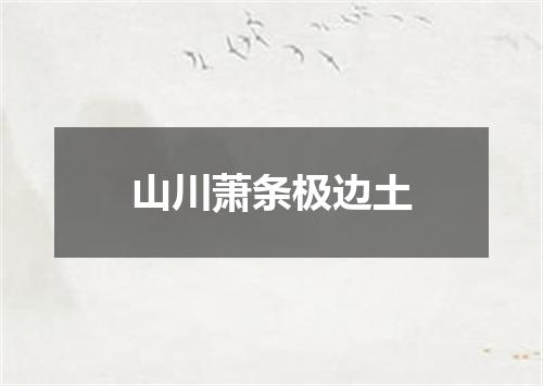 山川萧条极边土