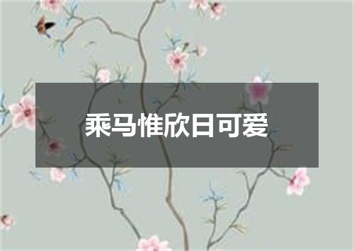 乘马惟欣日可爱