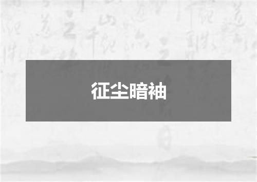 征尘暗袖