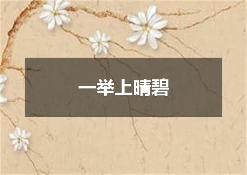 一举上晴碧