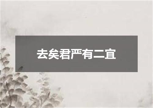 去矣君严有二宜