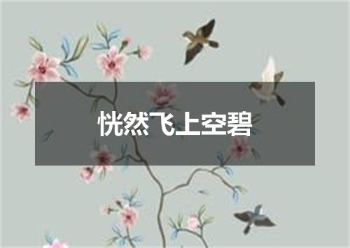 恍然飞上空碧