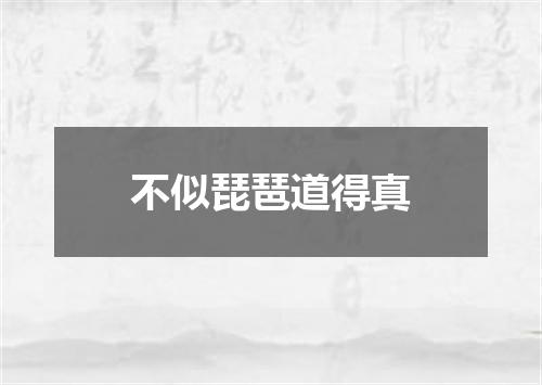 不似琵琶道得真