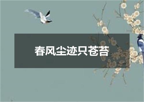 春风尘迹只苍苔
