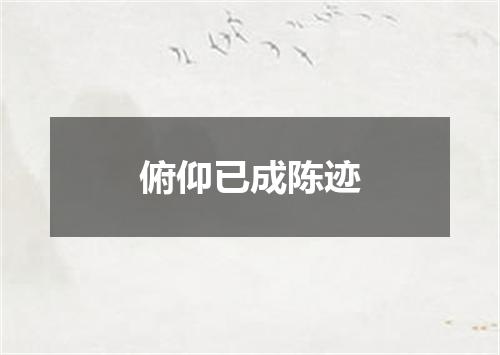 俯仰已成陈迹