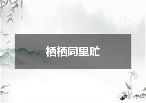 栖栖同里甿