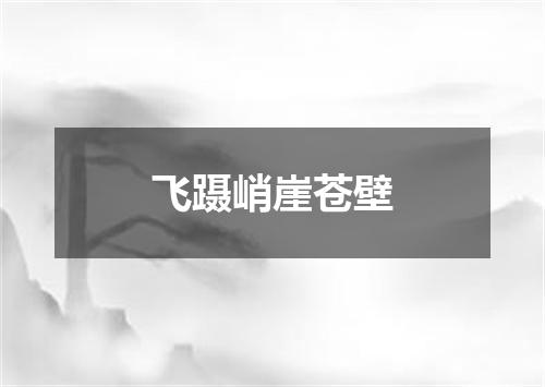 飞蹑峭崖苍壁