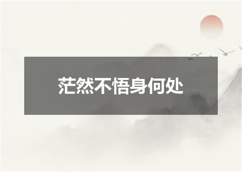 茫然不悟身何处