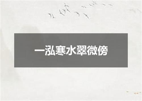 一泓寒水翠微傍