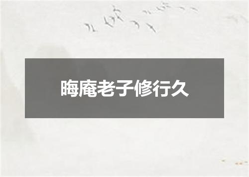 晦庵老子修行久