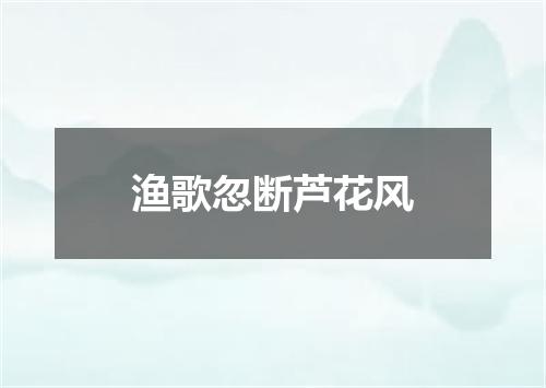 渔歌忽断芦花风